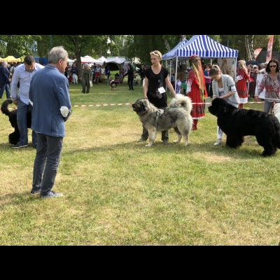 NDS USTKA'18 - VALKYRIA